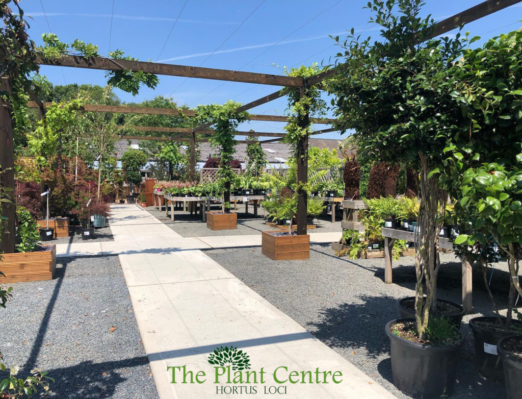 The Plant Centre At Hortus Loci